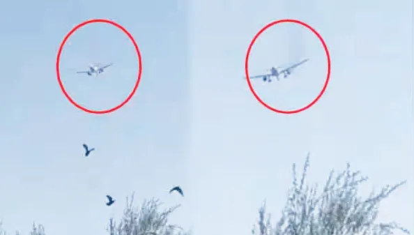 flight