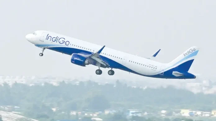 indigo