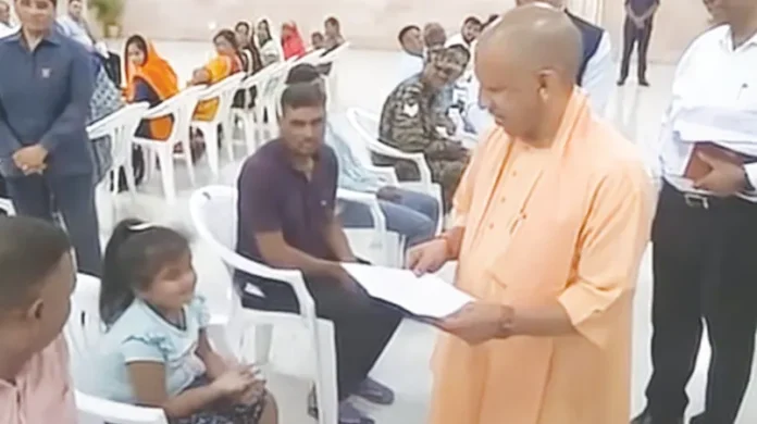 yogi