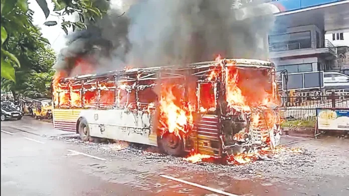 bus