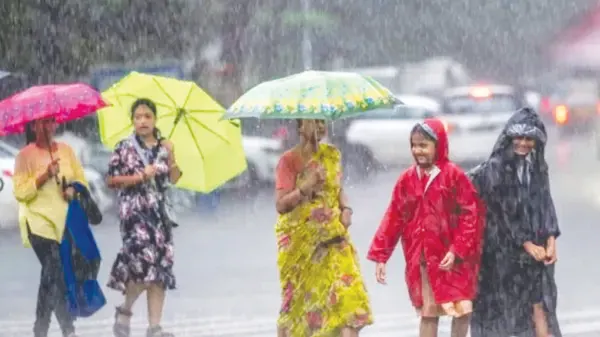 rain