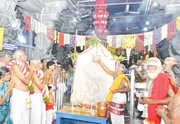 vizha