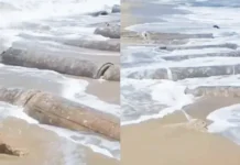 தனுஷ்கோடியில் கடல் அரிப்பால் 60 ஆண்டுகளுக்கு பின் நடந்த ஆச்சரியம்