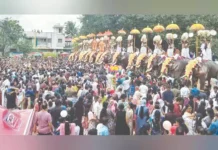 15 யானைகள் அணிவகுப்பு