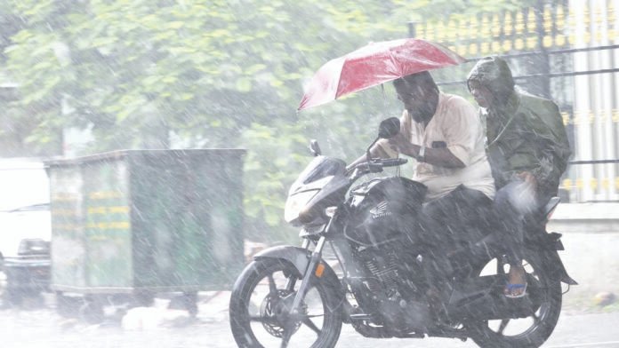 rain
