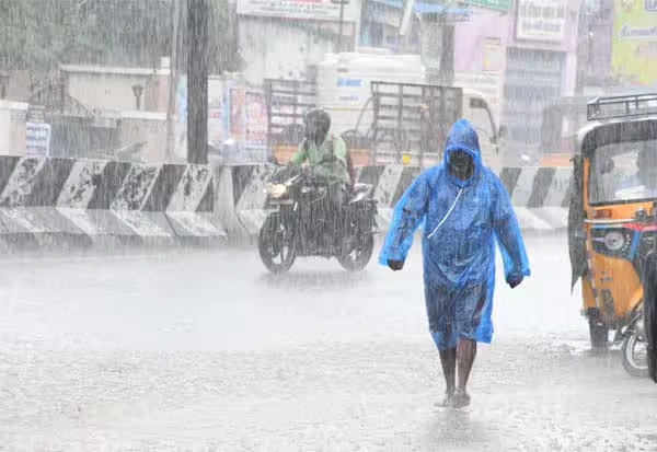 rain