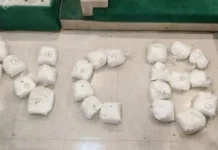 ரூ.262 கோடி போதை பொருள் பறிமுதல்