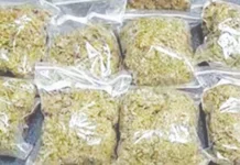 மும்பைக்கு விமானத்தில் கடத்தி வந்தரூ.53 கோடி கஞ்சா, வைரம் பறிமுதல்