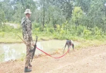 ரூ. 89 லட்சம் பரிசுத்தொகை அறிவிக்கப்பட்ட நக்சலைட்டுகள் 11 பேர் சரண்