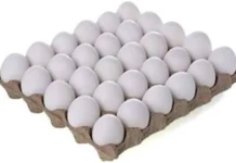 வீடியோ வெளியாகி பரபரப்பு – முட்டைகளை ஆய்வு செய்ய கர்நாடக அரசு உத்தரவு