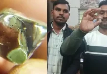 “மண்ணுக்குள் கிடைத்த வைரம்”… வாயை பிளக்க வைக்கும் மதிப்பு