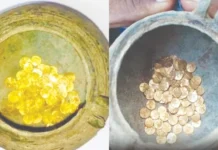 திருப்பத்தூர் மண்ணில் தோண்ட தோண்ட தங்கம்