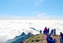 இடுக்கி சுற்றுலா பகுதிகளை 9 நாட்களில் பார்வையிட்ட 1.82 லட்சம் பயணிகள்