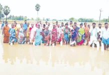 நெற்பயிர்களுக்கு இழப்பீடு கோரி விவசாயிகள் போராட்டம்