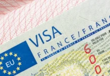 பிரான்ஸ் நாட்டு போலி விசா விநியோகம்: குற்றவாளி கைது