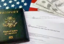 ஹெச்1பி விசா விவகாரம்; டிரம்ப்பின் உத்தரவுக்கு நீதிமன்றம் அனுமதி