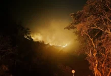 பற்றி எரியும் சிக்கமகளூர் காடு