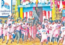 அவனியாபுரம், பாலமேடு, சூரியூரில் ஜல்லிக்கட்டில் சீறிப்பாய்ந்த 2100 காளைகள்