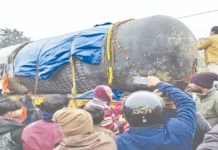 உலகின் மிகப்பெரிய சிவலிங்கம் ஜனவரி 17-ல் பிரதிஷ்டை