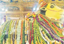 தஞ்சை பெரிய கோவிலில் மகா நந்திக்கு 2 டன் பழம், காய்கறி அலங்காரம்