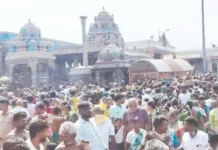 பழநி தைப்பூச திருவிழாவில் திருக்கல்யாணம்: நாளை மாலை தேரோட்டம்