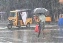 தமிழகத்தில் தொடரும் மழை