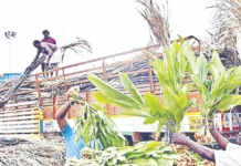 கோயம்பேட்டில் குவிந்த கரும்புகள்: ஒரு கட்டு ரூ.300 முதல் ரூ.600 வரை விற்பனை