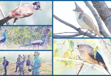 6 வனசரகத்தில் உள்ள காப்பு காடுகளில் கணக்கெடுப்பு