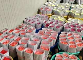 ரோஜா மலர்கள் விற்பனை அமோகம்