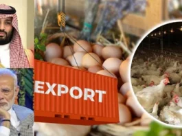 இந்திய பொருட்களுக்கு சவுதி திடீர் தடை