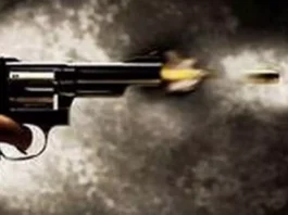 திருமண வரவேற்பு நிகழ்ச்சியில் அண்ணன்-தம்பி சுட்டுக்கொலை