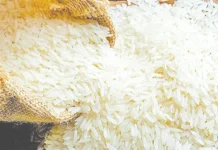 மத்திய கிழக்கு பதற்றம்: ரூ.6,000 கோடி மதிப்பிலான இந்திய பாசுமதி அரிசி ஏற்றுமதி பாதிப்பு