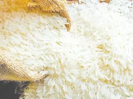 மத்திய கிழக்கு பதற்றம்: ரூ.6,000 கோடி மதிப்பிலான இந்திய பாசுமதி அரிசி ஏற்றுமதி பாதிப்பு