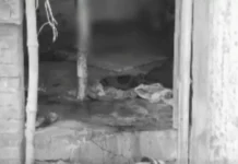 அதிகாலையில் 2 பேர் வெட்டிக் கொலை