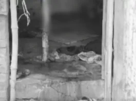 அதிகாலையில் 2 பேர் வெட்டிக் கொலை