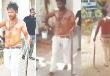 பாம்பை மருத்துவமனைக்கு சென்ற வாலிபர்