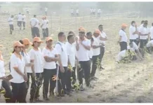 வாராணசியில் ஒரு மணி நேரத்தில் 2.5 லட்சம் மரக்கன்றுகள் நட்டு கின்னஸ் சாதனை: