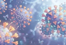 மீண்டும் வேகமாகப் பரவி வரும் சிக்காடா’ கொரோனா வைரஸ்