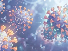 மீண்டும் வேகமாகப் பரவி வரும் சிக்காடா’ கொரோனா வைரஸ்