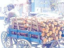 ஓட்டல்களில் விறகு பயன்பாடு அதிகரிப்பால் விலை உயர்வு