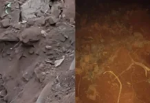 நிலச்சரிவில் பலியான 3 தொழிலாளர்கள் உடல்கள் மீட்பு