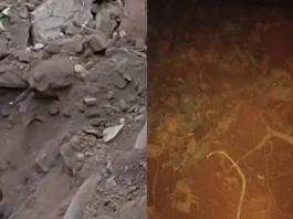 நிலச்சரிவில் பலியான 3 தொழிலாளர்கள் உடல்கள் மீட்பு