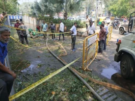 பெங்களூரை புரட்டிப்போட்ட மழை 170 மரங்கள் சாய்ந்தன