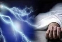 மின்சாரம் தாக்கி இருவர் பலி