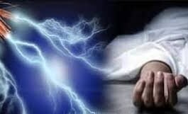 மின்சாரம் தாக்கி இருவர் பலி