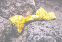 ஆந்திர சுரங்கத்தில் ஆண்டுக்கு 1,000 கிலோ தங்கம் உற்பத்தி செய்ய இலக்கு