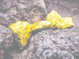 ஆந்திர சுரங்கத்தில் ஆண்டுக்கு 1,000 கிலோ தங்கம் உற்பத்தி செய்ய இலக்கு