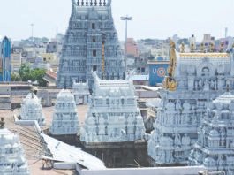 திருவல்லிக்கேணி கோயிலில் சித்திரை பிரம்மோற்சவம் மே 1-ல் தொடங்குகிறது