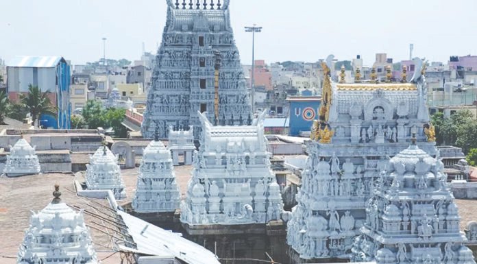 திருவல்லிக்கேணி கோயிலில் சித்திரை பிரம்மோற்சவம் மே 1-ல் தொடங்குகிறது