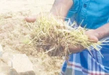 நெல் கொள்முதலில் சிக்கல்; விவசாயிகள் வேதனை